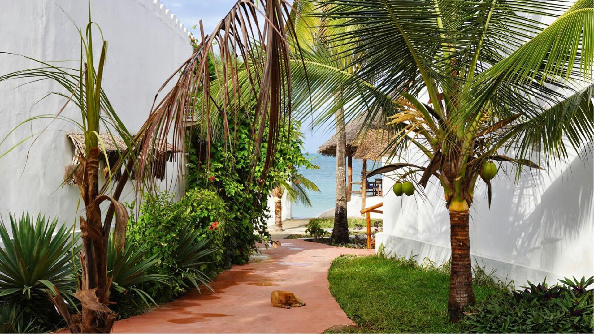 Nautilus Boutique Hotel Uroa Dış mekan fotoğraf